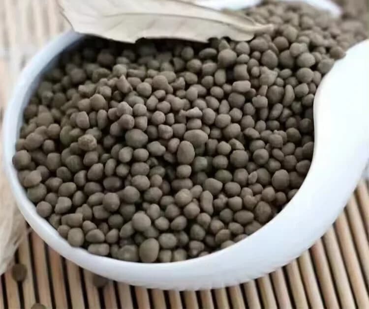 DAP Diammonium Phosphate — wholesale export from Thailand