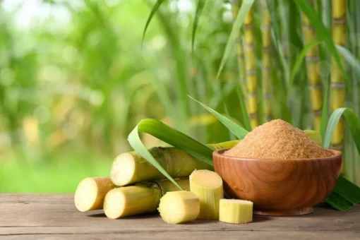BEET SUGAR - Image 2