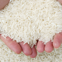 Thai Hom Patum Rice