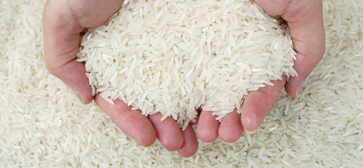 Thai Hom Patum Rice
