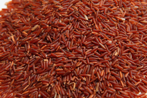 Thai Jasmine Red Cargo Rice - Image 2